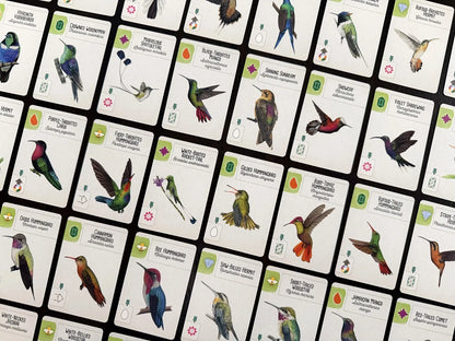 Wingspan Americas Expansion-101 Board / Card Games-Brain Games OÜ